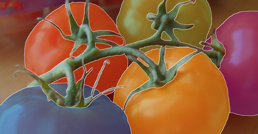 Tomatoes labeled with image segmentation