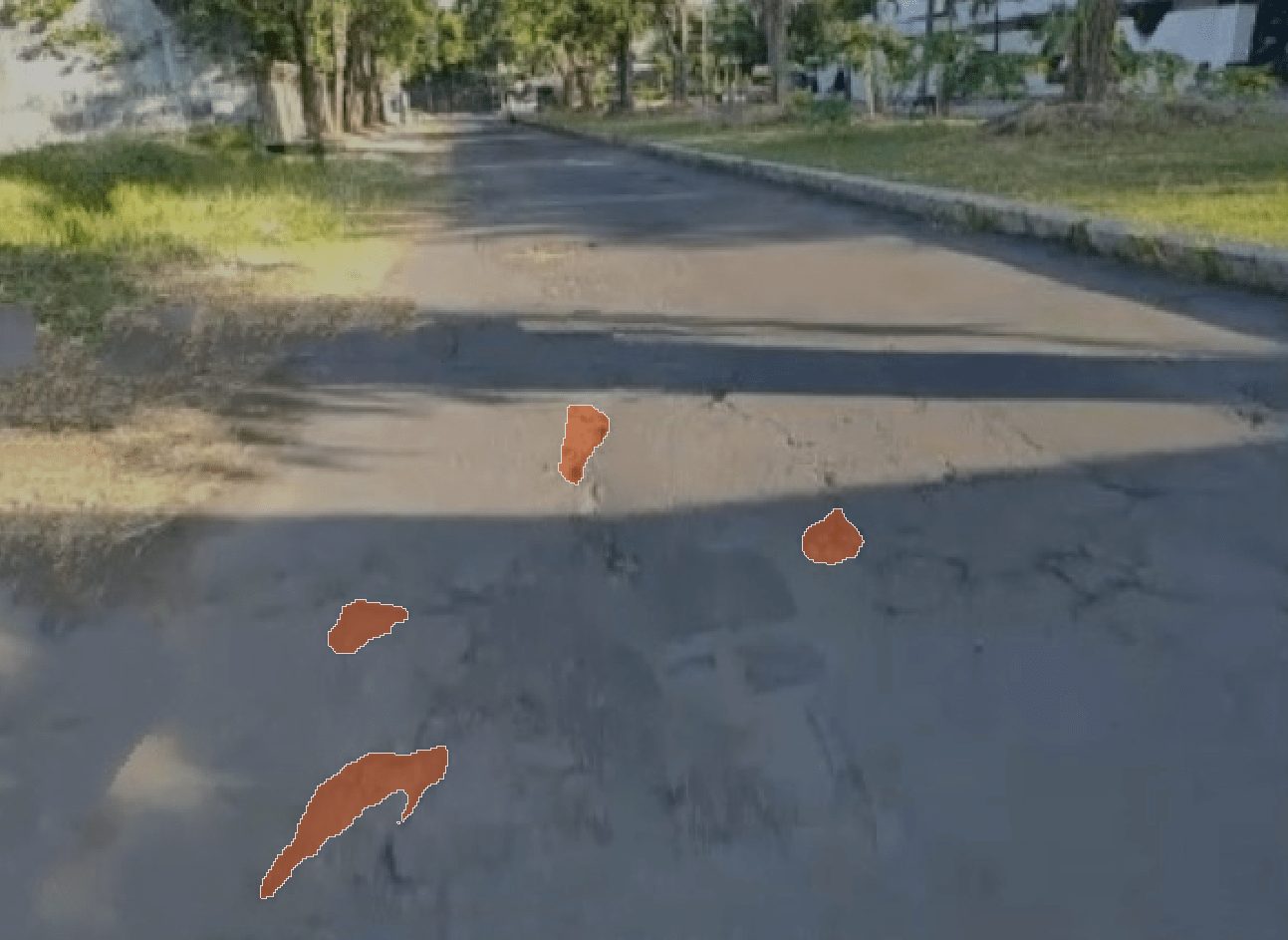 Pavement with road damage on a tree-lined street in daylight.
